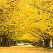 ヒメ日記 2025/11/21 20:34 投稿 華澄（かすみ） ROYAL FACE FUKUOKA