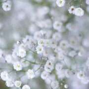 ヒメ日記 2025/11/23 21:49 投稿 華澄（かすみ） ROYAL FACE FUKUOKA