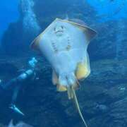 ヒメ日記 2026/03/11 13:18 投稿 はな【FG系列】 フィーリングin厚木【FG系列】