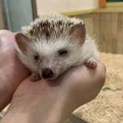 ヒメ日記 2026/04/10 16:48 投稿 はな【FG系列】 フィーリングin厚木【FG系列】