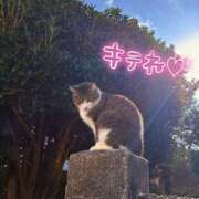 星野　もも 人間いがいも Muzerva Wave