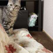 ヒメ日記 2025/11/07 20:53 投稿 川田 ありさ La elf（ラ・エルフ）