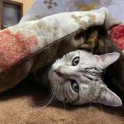 ヒメ日記 2026/02/07 16:53 投稿 川田 ありさ La elf（ラ・エルフ）