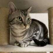 川田 ありさ お休みいただきます La elf（ラ・エルフ）