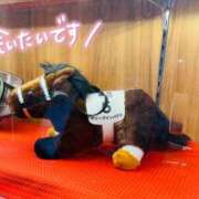ヒメ日記 2026/04/27 23:33 投稿 川田 ありさ La elf（ラ・エルフ）