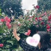 ヒメ日記 2026/06/07 20:53 投稿 川田 ありさ La elf（ラ・エルフ）