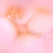 ヒメ日記 2025/11/12 23:03 投稿 星野 ひまり La elf（ラ・エルフ）