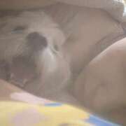 ヒメ日記 2025/12/14 22:03 投稿 星野 ひまり La elf（ラ・エルフ）