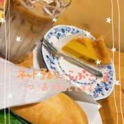 ヒメ日記 2025/11/20 16:16 投稿 ひより 熟女総本店 堺東店