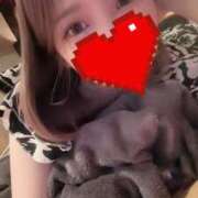 ヒメ日記 2025/12/12 20:18 投稿 柊かれん サクラ（すすきの）