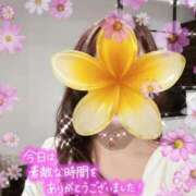 ヒメ日記 2025/11/04 20:56 投稿 栗田(くりた) 人妻出逢い会 百合の園 新宿店