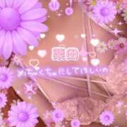 ヒメ日記 2025/11/15 17:36 投稿 栗田(くりた) 人妻出逢い会 百合の園 新宿店