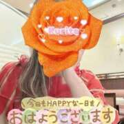 ヒメ日記 2025/11/19 08:36 投稿 栗田(くりた) 人妻出逢い会 百合の園 新宿店