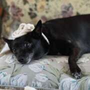 ヒメ日記 2025/10/25 01:43 投稿 さえ ホワイトハウス