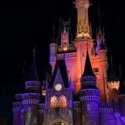 ヒメ日記 2025/11/22 22:38 投稿 さえ ホワイトハウス