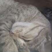 ヒメ日記 2025/12/19 09:49 投稿 なこ 千葉みるみる（ユメオト）