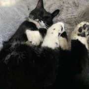 ヒメ日記 2025/11/12 12:28 投稿 真白ひいな ラブアイドル