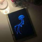 ヒメ日記 2025/11/12 21:09 投稿 のあ ぐっすり山田　上野店