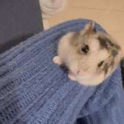 ヒメ日記 2025/11/11 14:03 投稿 ひびき CLUB DEEP 博多