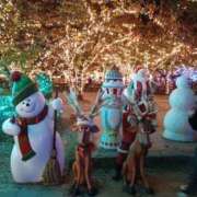 ヒメ日記 2025/11/26 11:33 投稿 ひびき CLUB DEEP 博多