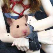 ひびき 出勤 CLUB DEEP 博多