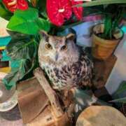 ヒメ日記 2025/12/13 14:23 投稿 ひびき CLUB DEEP 博多