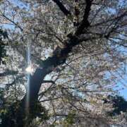 ヒメ日記 2026/04/03 17:18 投稿 千秋 モアグループ春日部人妻城