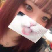 ヒメ日記 2026/04/11 07:26 投稿 えり ちゃんこ大阪伊丹空港豊中店