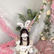 ヒメ日記 2025/10/28 18:02 投稿 すずか ロイヤルフラッシュ