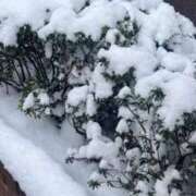 ヒメ日記 2026/02/08 15:35 投稿 ゆか 渋谷蘭の会