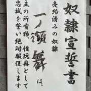 ヒメ日記 2026/07/02 10:21 投稿 一之瀬　舞 SM東京　池袋店