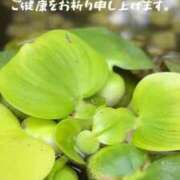 陽(よう) 🌼おはよう PLUS梅田店