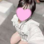 ヒメ日記 2025/10/29 06:59 投稿 ふわり The White