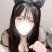 ヒメ日記 2025/11/05 21:02 投稿 ふわり The White