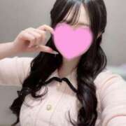 ヒメ日記 2025/12/18 15:04 投稿 ふわり The White