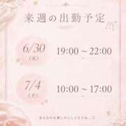 ヒメ日記 2026/06/28 23:14 投稿 しの Felice(フェリス)