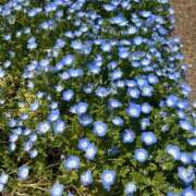 ヒメ日記 2026/02/16 18:16 投稿 ほのか バカンス学園　谷九校