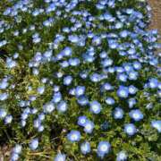 ヒメ日記 2026/03/07 12:28 投稿 ほのか バカンス学園　谷九校