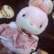 ヒメ日記 2025/11/26 15:30 投稿 はる 妻天 梅田店