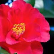 ヒメ日記 2025/12/18 21:07 投稿 はる 妻天 梅田店