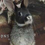 ヒメ日記 2026/01/16 06:48 投稿 はる 妻天 梅田店