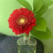 ヒメ日記 2026/01/31 12:29 投稿 はる 妻天 梅田店