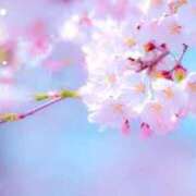 ヒメ日記 2026/03/28 14:11 投稿 はる 妻天 梅田店