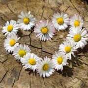 ヒメ日記 2026/03/29 16:08 投稿 はる 妻天 梅田店