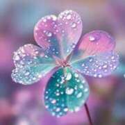 はる 改めてすみません。 妻天 梅田店