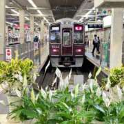 ヒメ日記 2026/07/08 16:48 投稿 はる 妻天 梅田店