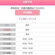 ヒメ日記 2025/11/08 22:12 投稿 しおり 水戸人妻花壇