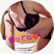 ヒメ日記 2025/11/11 07:01 投稿 しおり 水戸人妻花壇