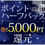 ヒメ日記 2025/12/04 10:40 投稿 しおり 水戸人妻花壇