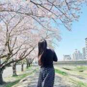 ヒメ日記 2026/04/08 12:07 投稿 しおり 水戸人妻花壇